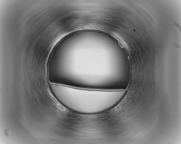 X0000095510996200712140930