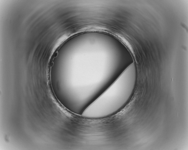 X0000095510997200712140930