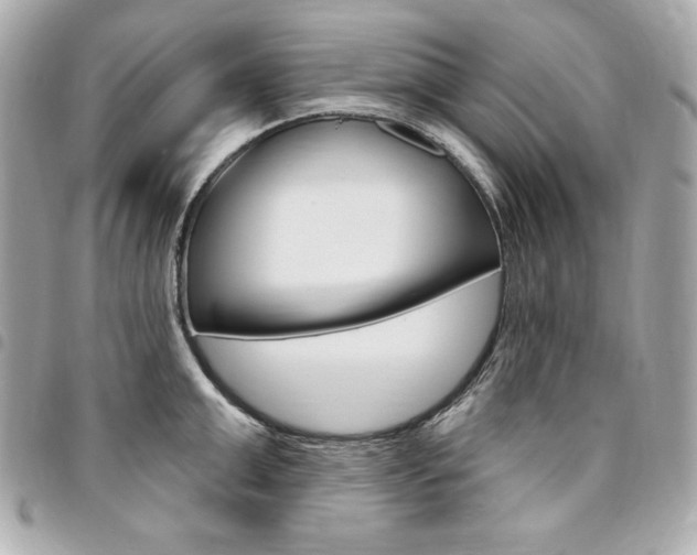 X0000095510999200712140930