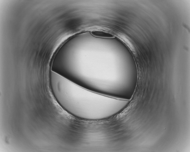 X0000095511000200712140930