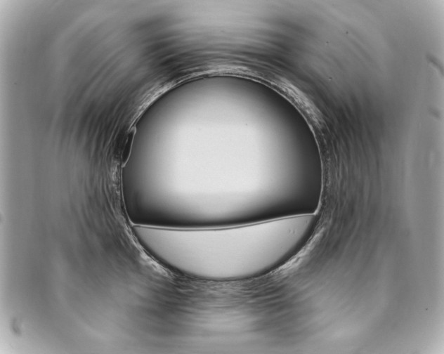 X0000095511001200712140930