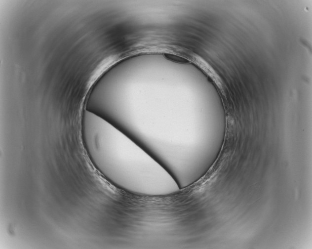 X0000095511002200712140930