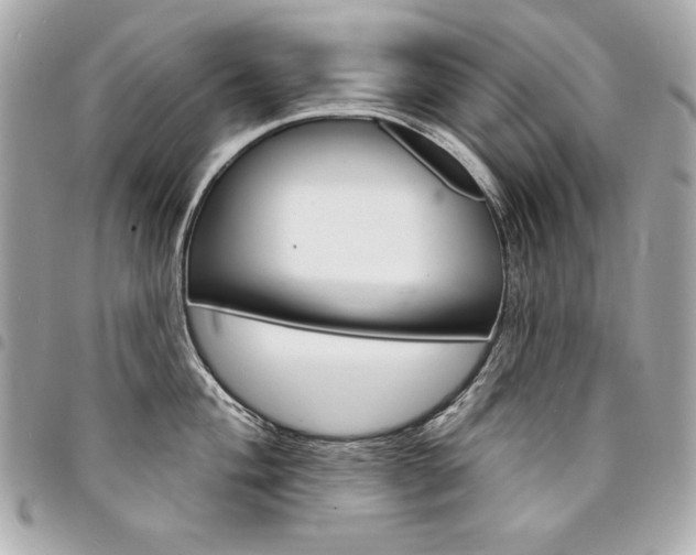 X0000095511004200712140930