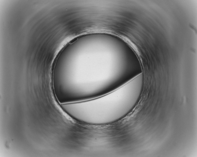 X0000095511005200712140930