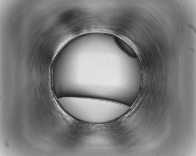 X0000095511006200712140930