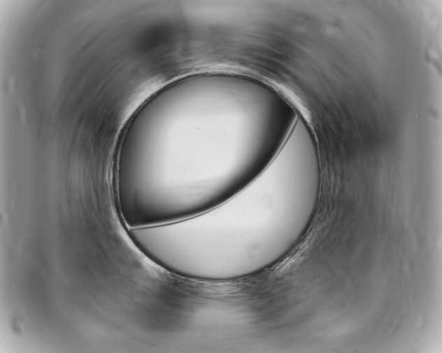 X0000095511007200712140930