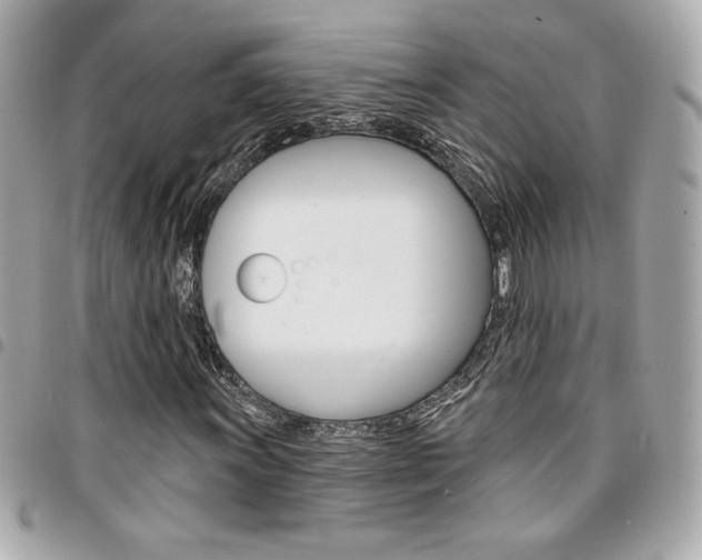 X0000095511011200712140930