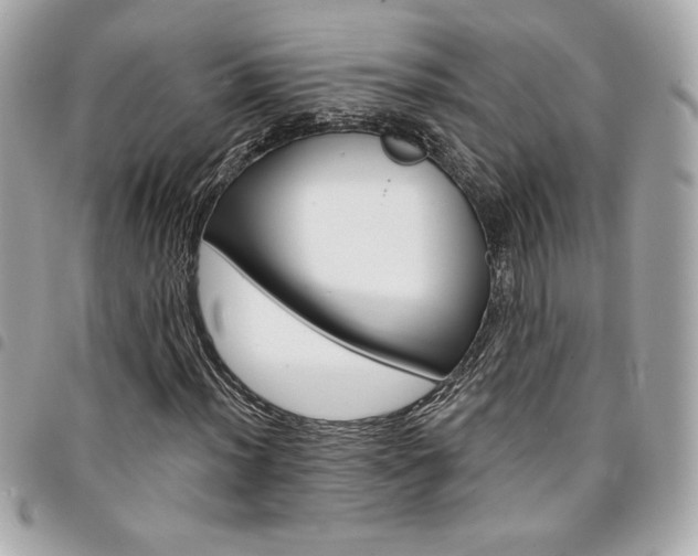 X0000095511012200712140930