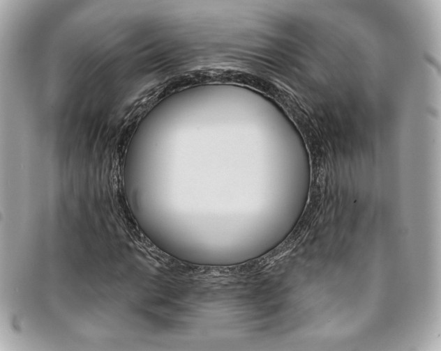 X0000095511014200712140930