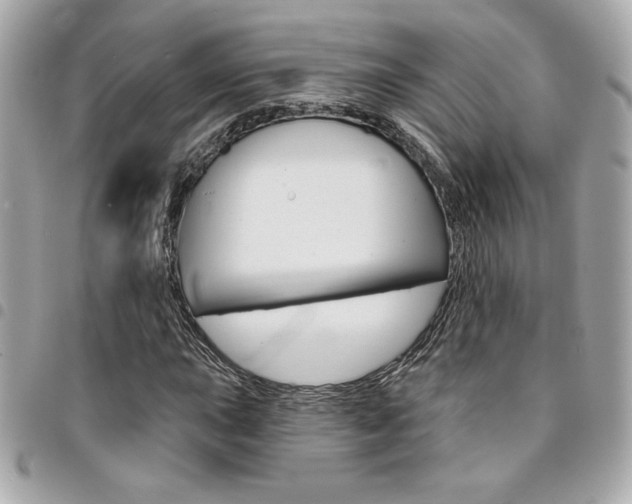 X0000095511015200712140930