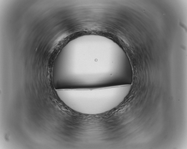 X0000095511016200712140930