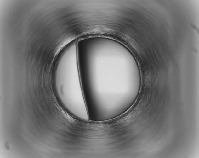 X0000095511018200712140930