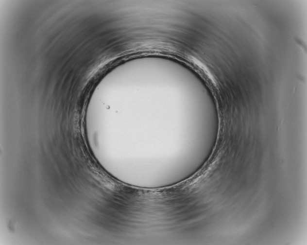 X0000095511019200712140930