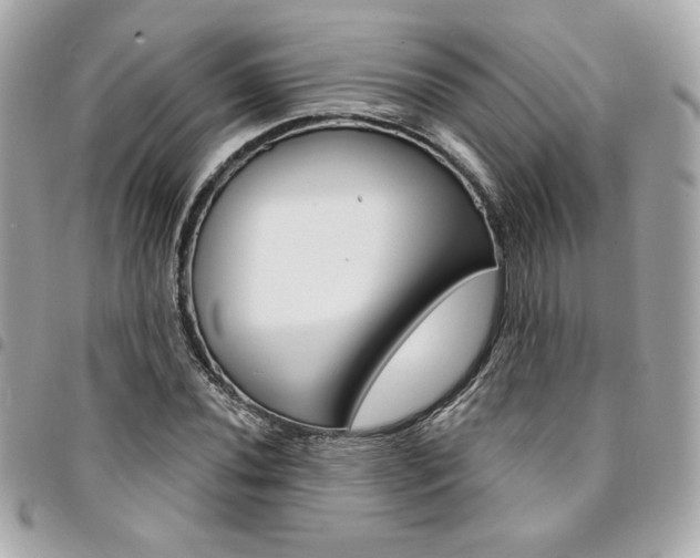 X0000095511020200712140930