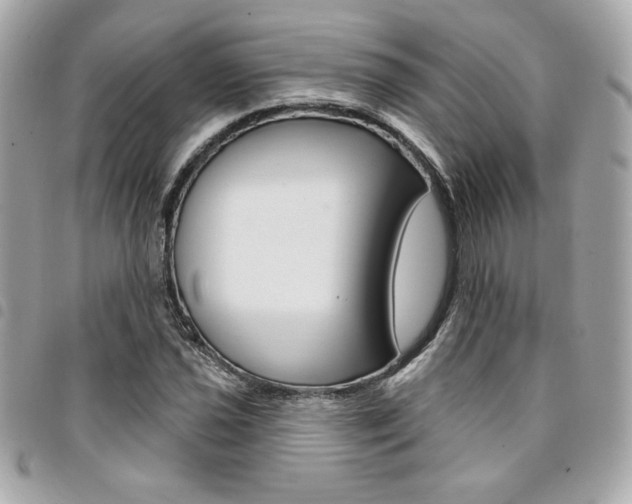 X0000095511021200712140930
