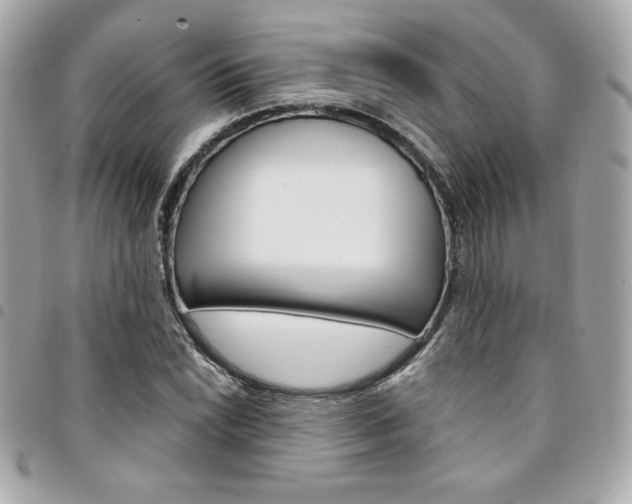 X0000095511022200712140930