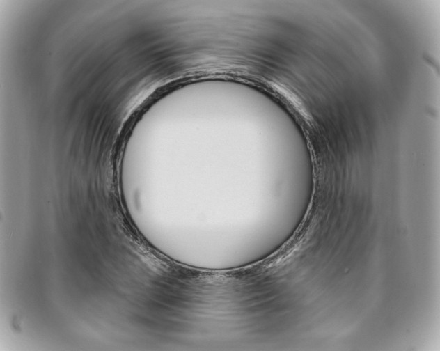 X0000095511023200712140930