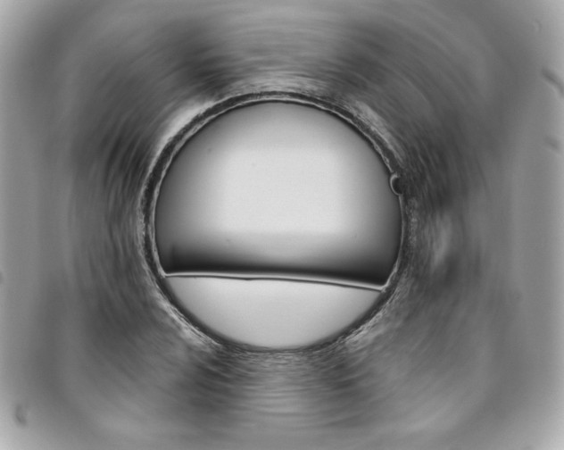X0000095511024200712140930