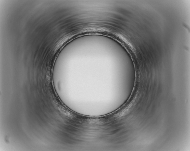 X0000095511025200712140930