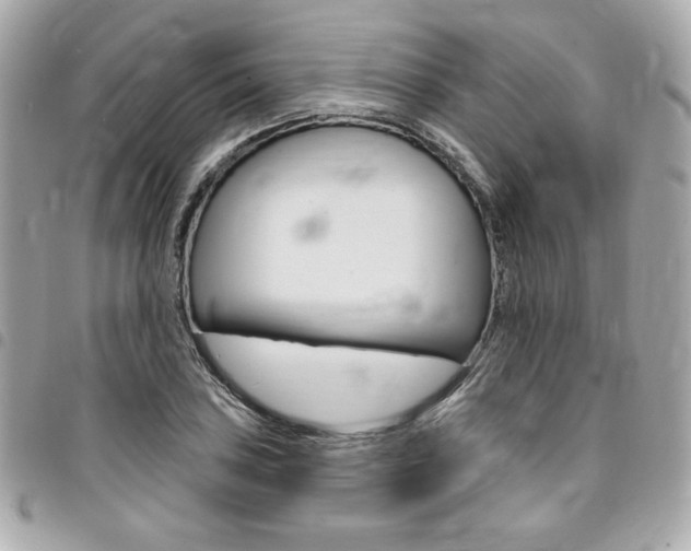 X0000095511027200712140930