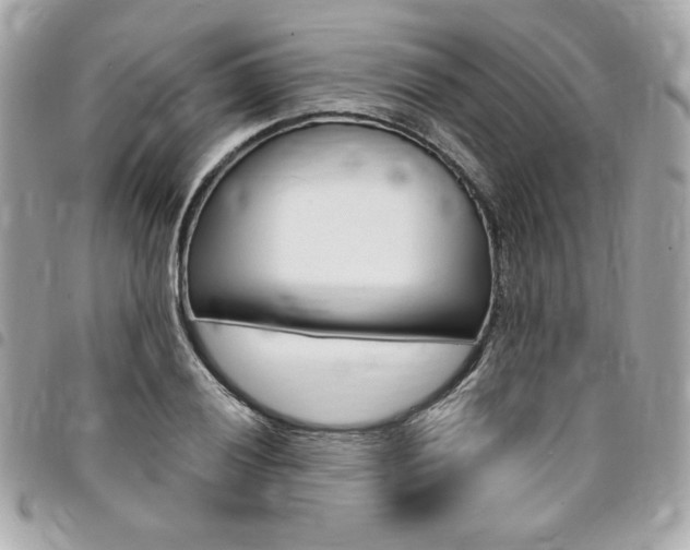 X0000095511028200712140930