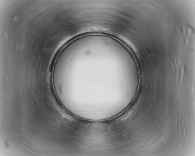 X0000095511029200712140930