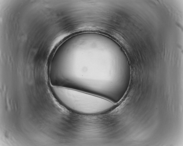 X0000095511030200712140930