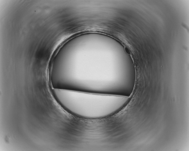 X0000095511032200712140930