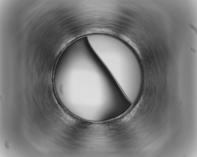 X0000095511033200712140930