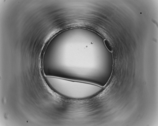 X0000095511034200712140930