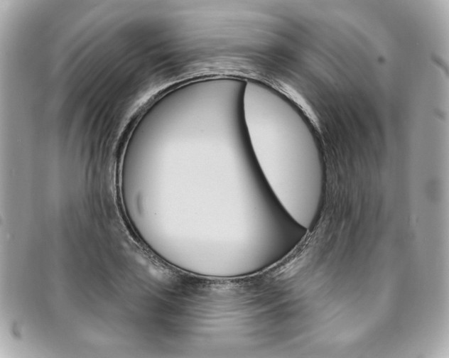 X0000095511035200712140930