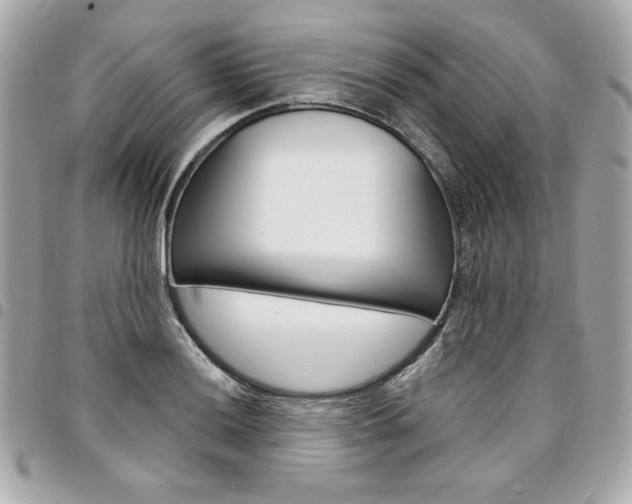 X0000095511036200712140930
