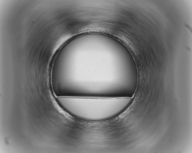 X0000095511038200712140930