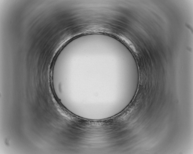 X0000095511039200712140930