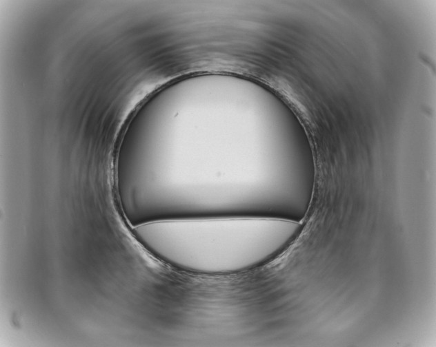 X0000095511040200712140930