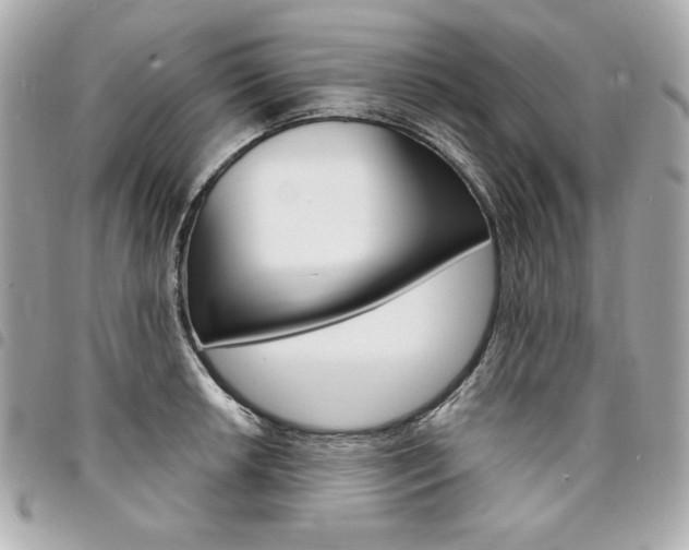 X0000095511042200712140930