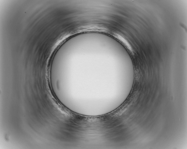 X0000095511043200712140930