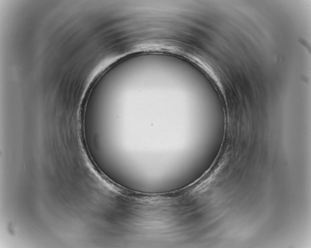 X0000095511045200712140930