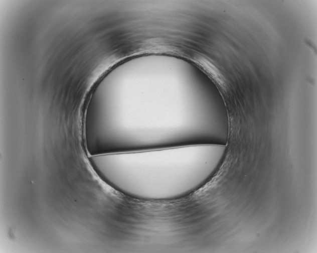 X0000095511046200712140930