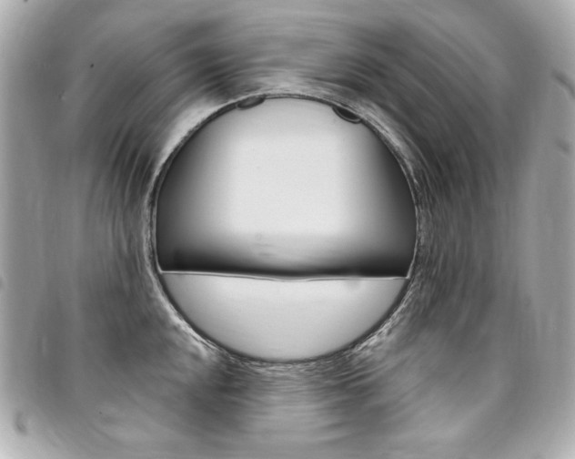 X0000095511048200712140930