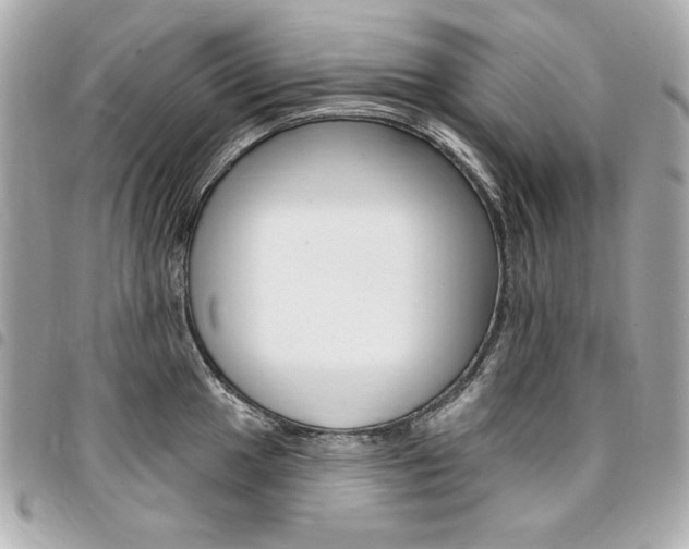 X0000095511049200712140930