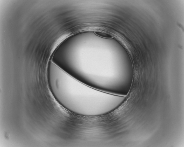 X0000095511050200712140930