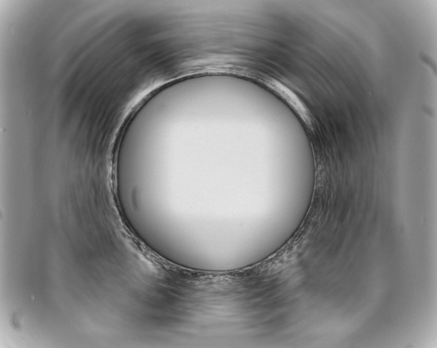 X0000095511051200712140930