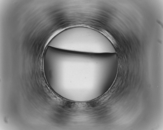 X0000095511052200712140930