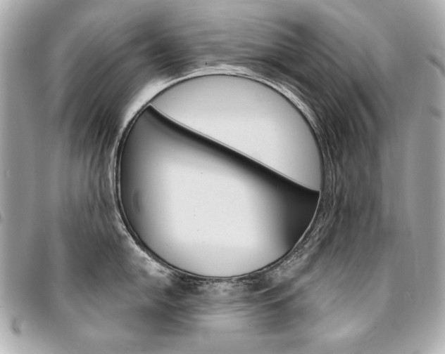 X0000095511054200712140930