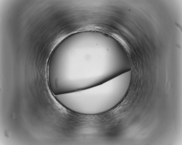 X0000095511055200712140930