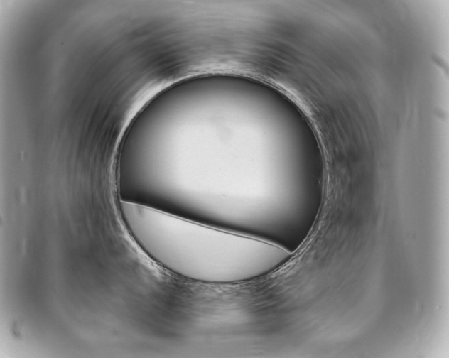 X0000095511056200712140930