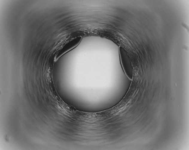 X0000095511060200712140929
