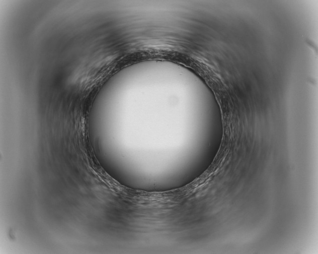 X0000095511061200712140929