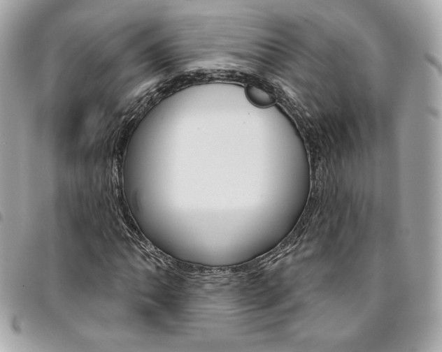 X0000095511062200712140929